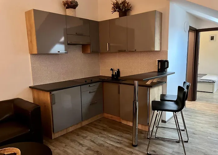 Apartment Centrum Culture Rent Košice